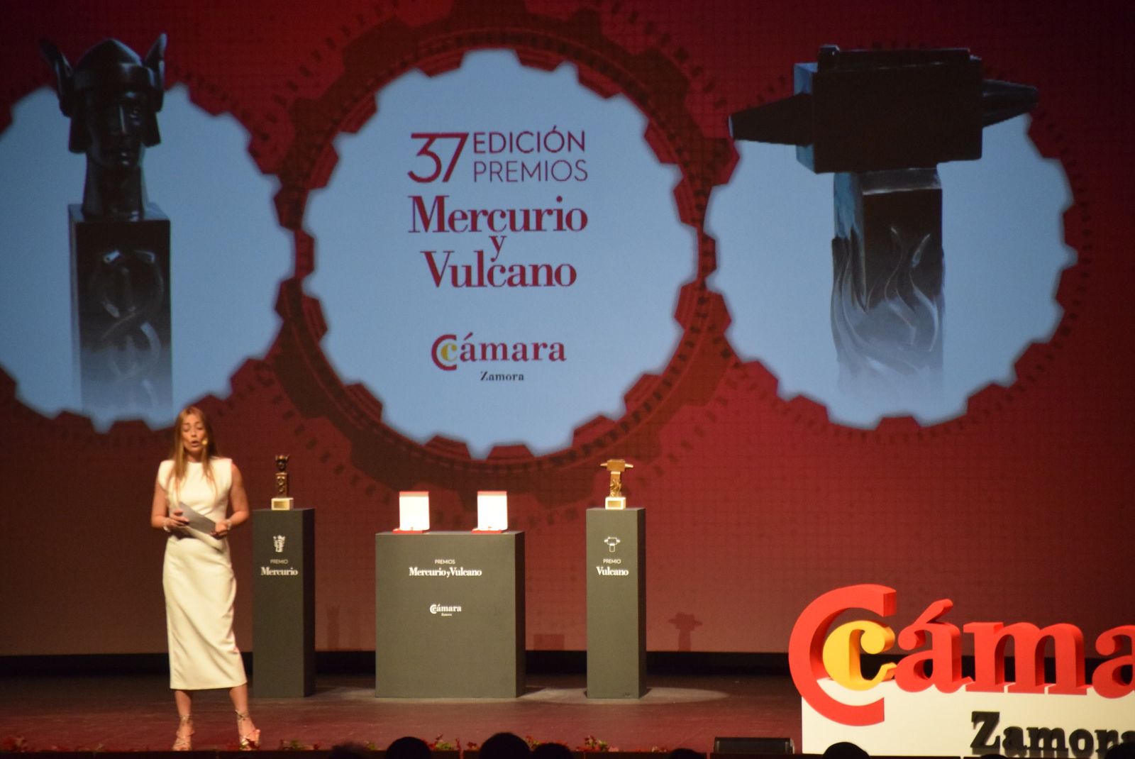 37 Edición Premios Mercurio y Vulcano (22).JPG