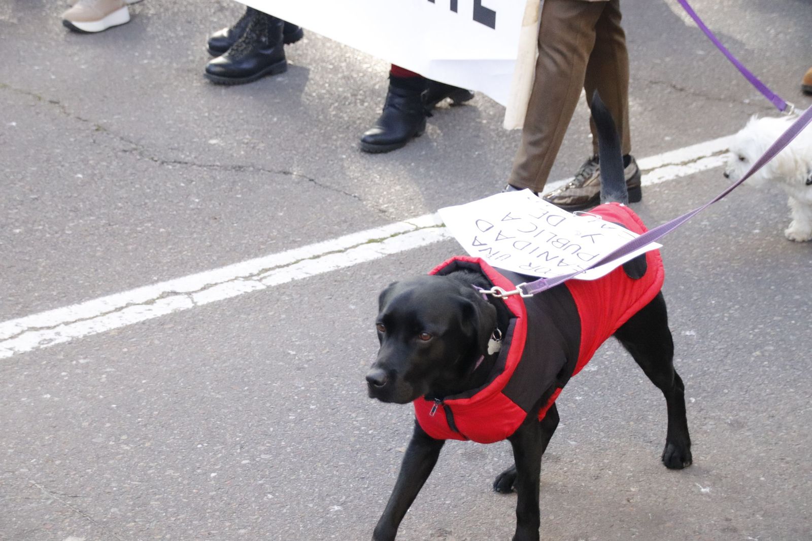 20230129122031-mg-3545