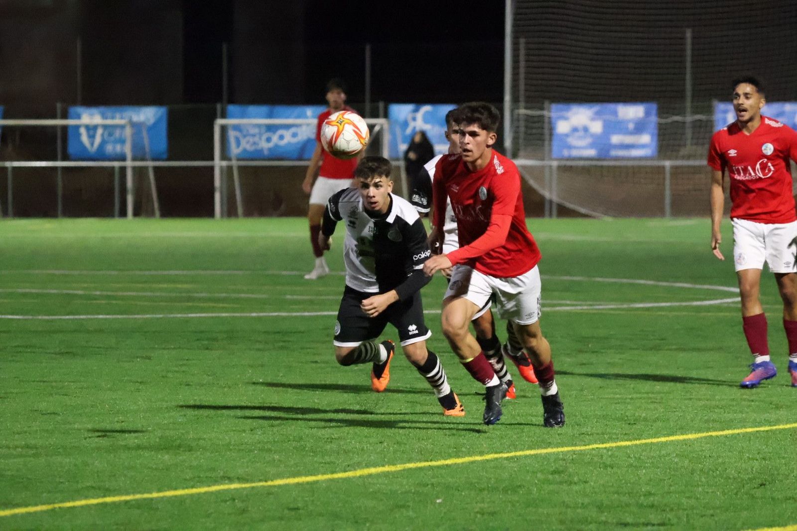 20231021193129-img-4507