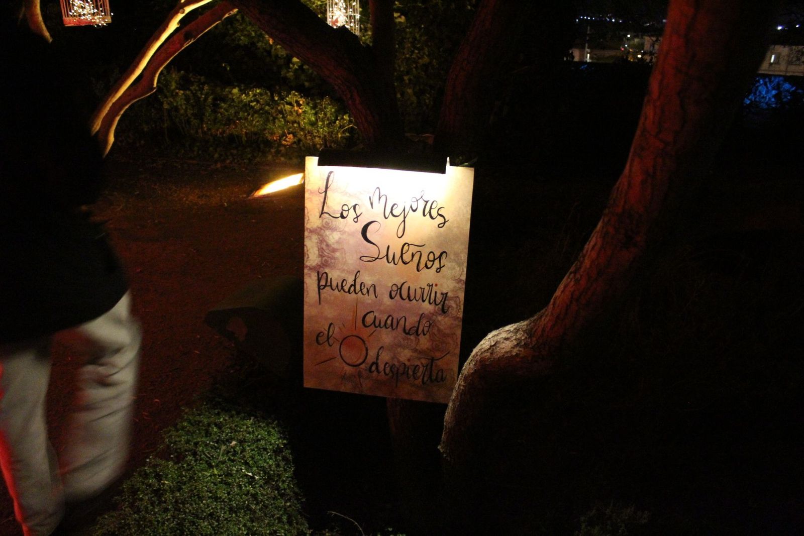 20231204212851-img-6418