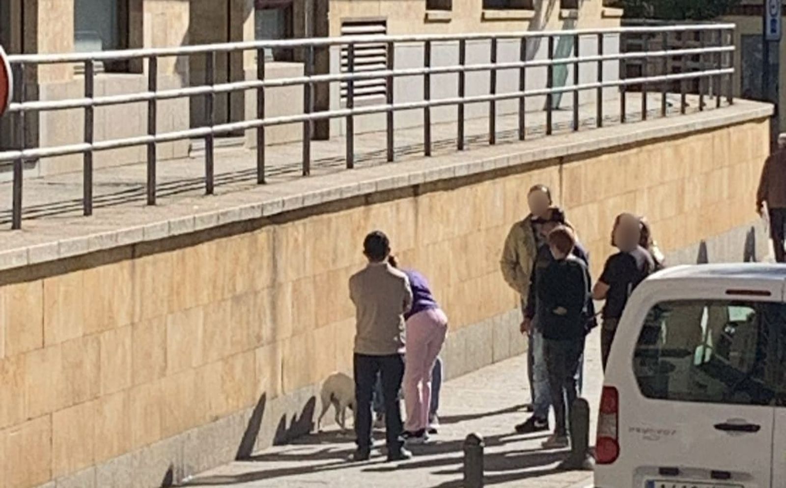 Un perro se precipita desde un balcón en la Cuesta de San Blas