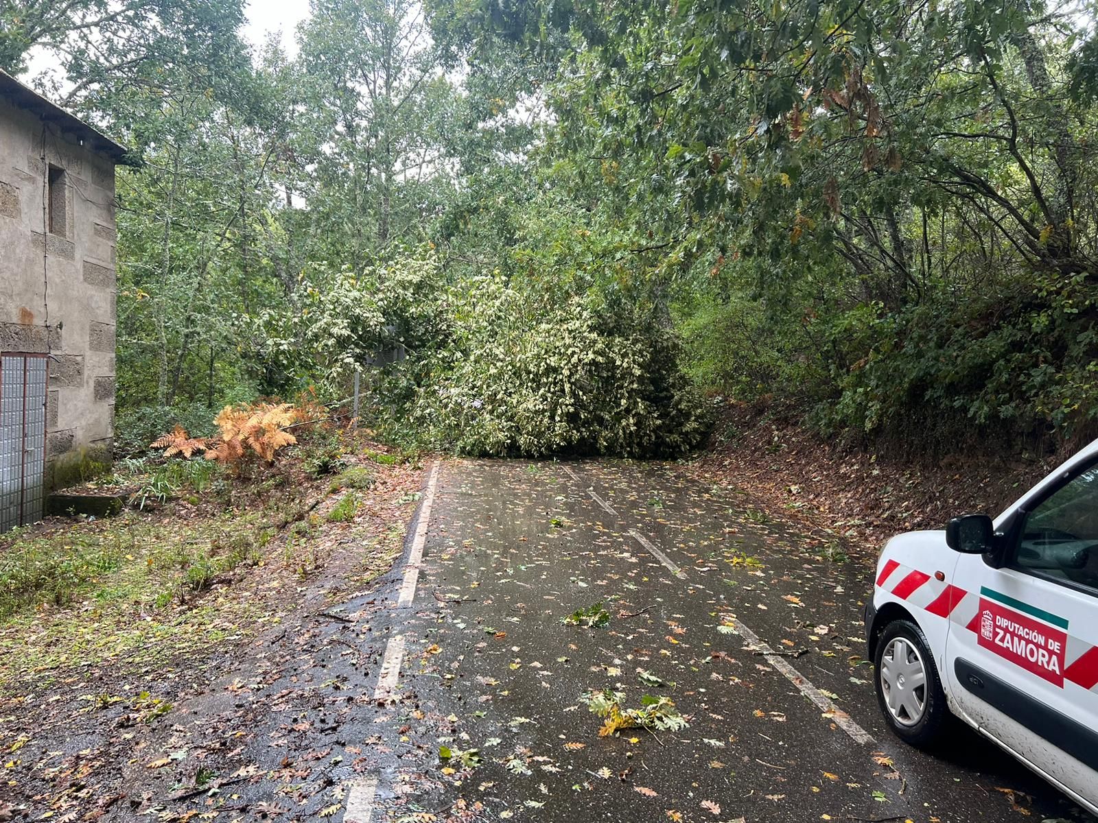 imagen-de-whatsapp-2024-10-09-a-las-11-48-56-217a96d9