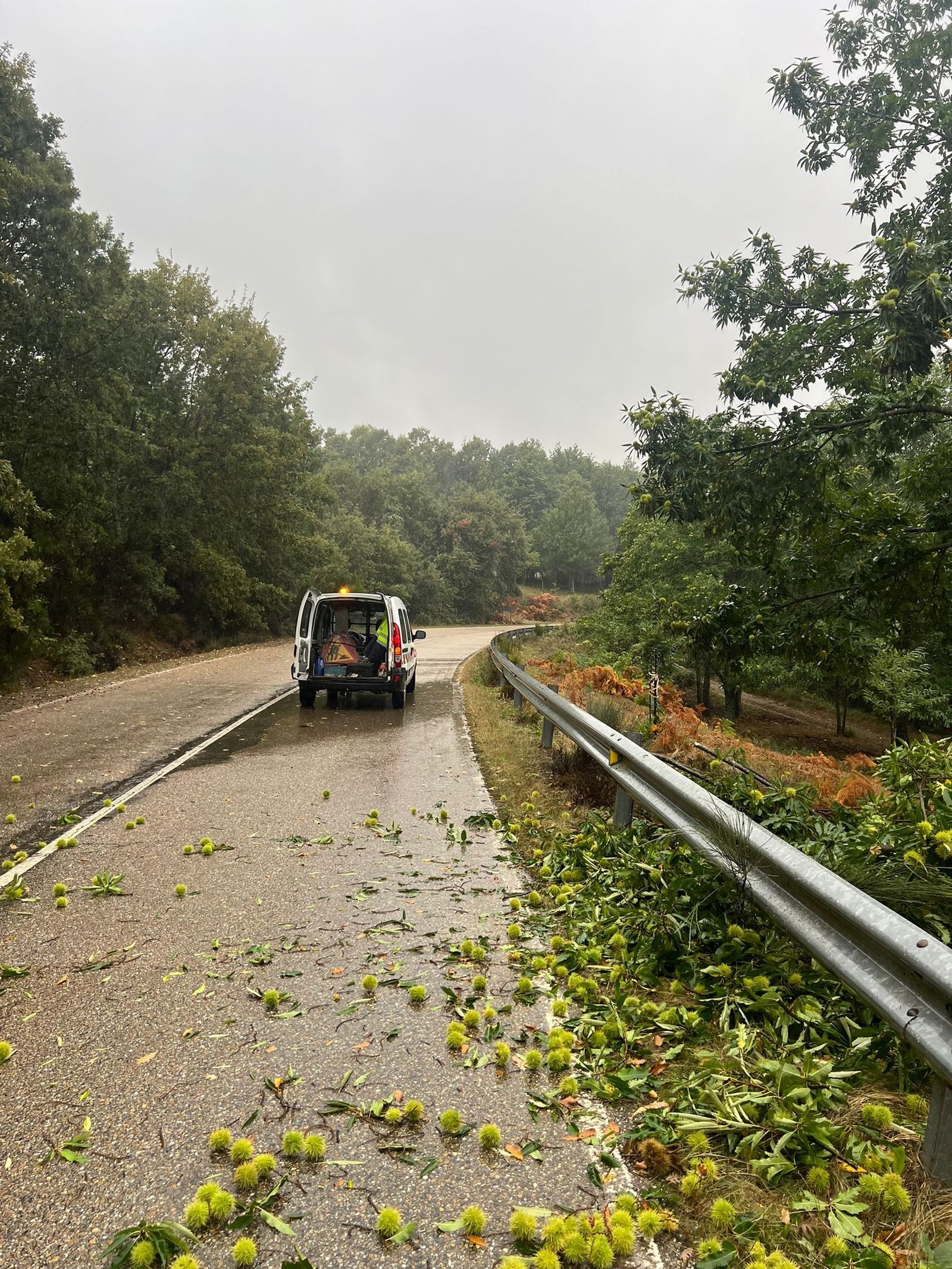 imagen-de-whatsapp-2024-10-09-a-las-11-48-55-3f9e7120