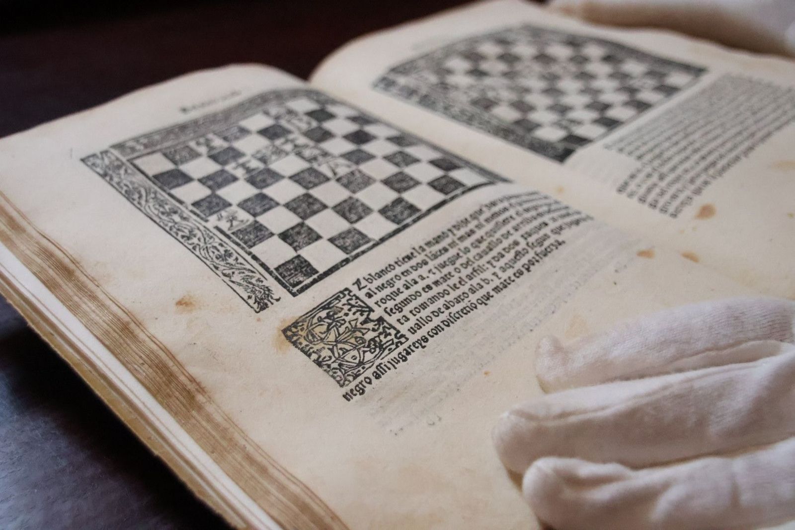 20231005112858-img-1346