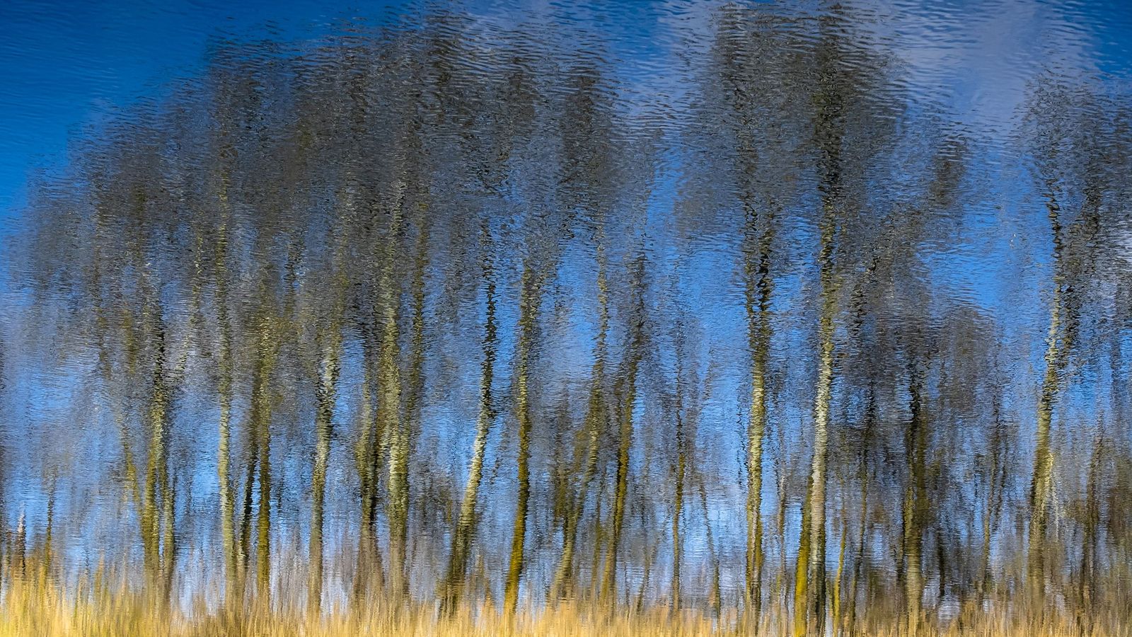 Respira. 2º Accésit