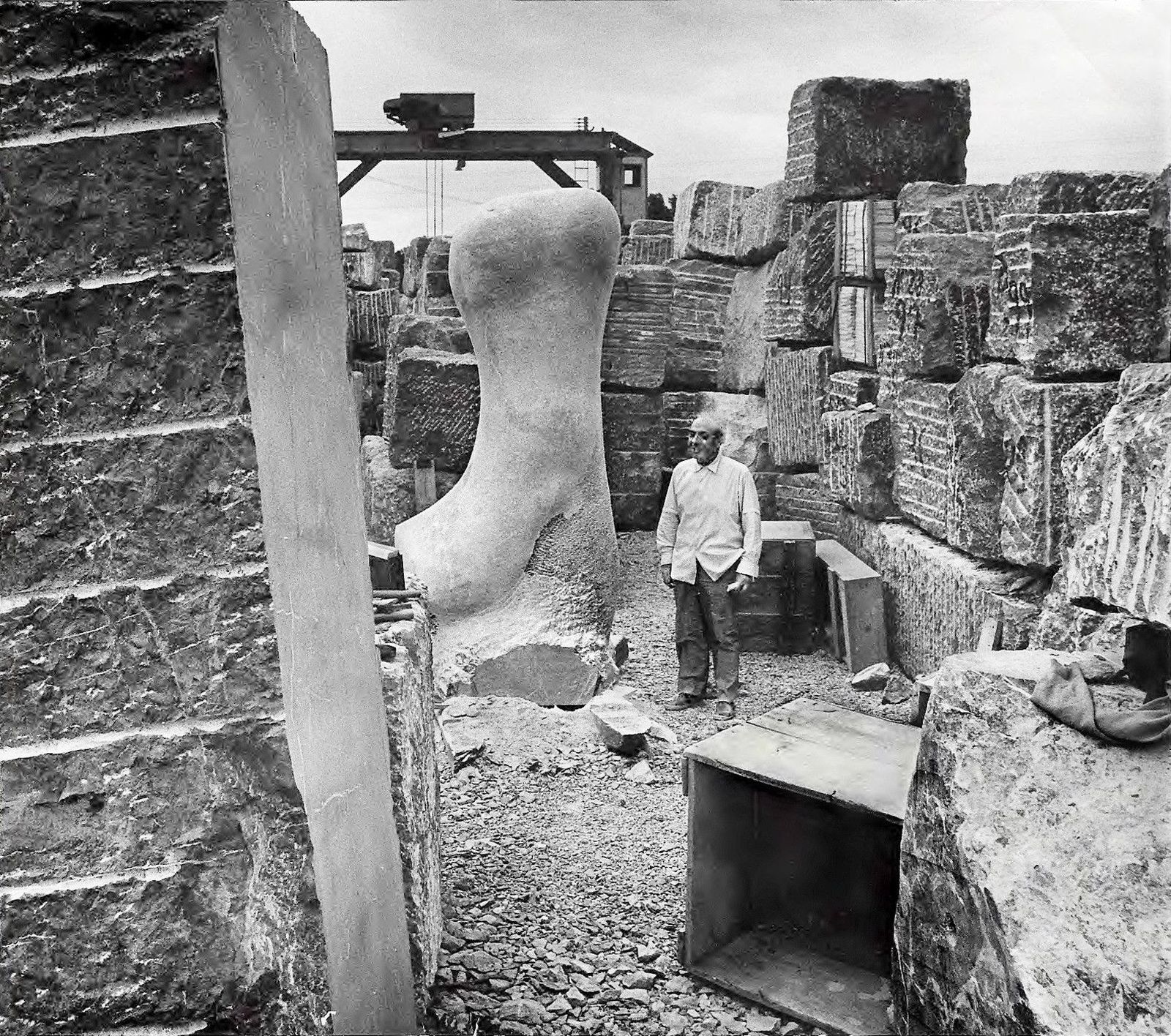 BaltasarLoboElanNoveldaAlicantebn554072