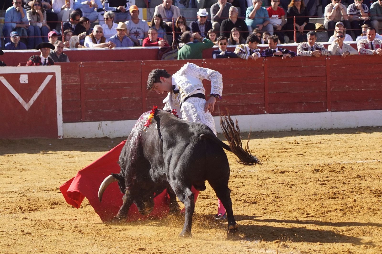 novillada-con-picadores-en-villoria-36