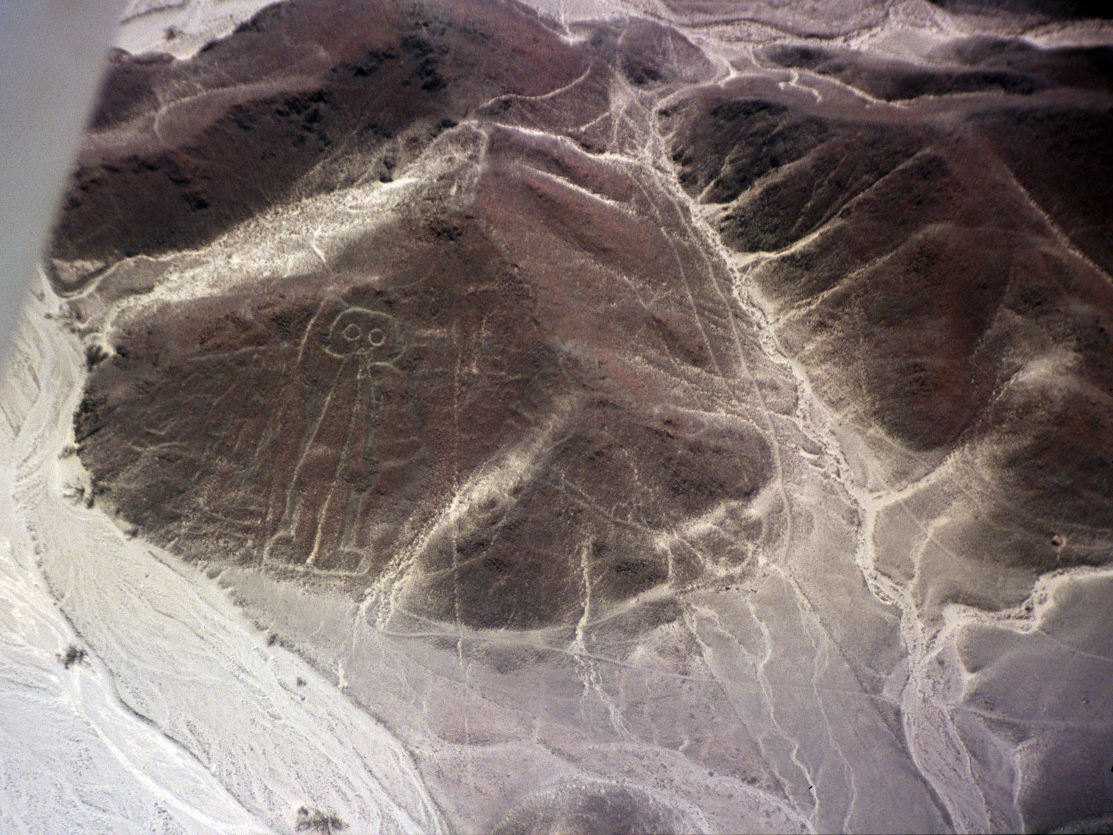 CA S24H d