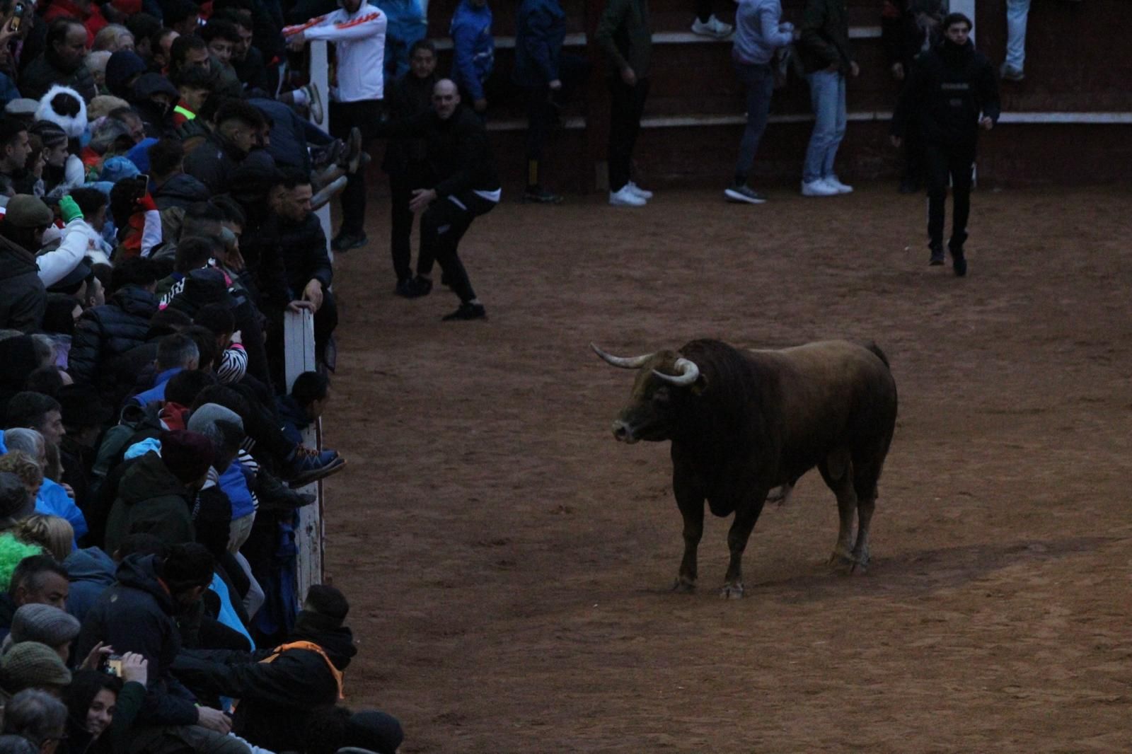 ambiente-y-capea-vespertina-sabado-de-carnaval-en-ciudad-rodrigo-2025-fotos-belen-hurtado-49