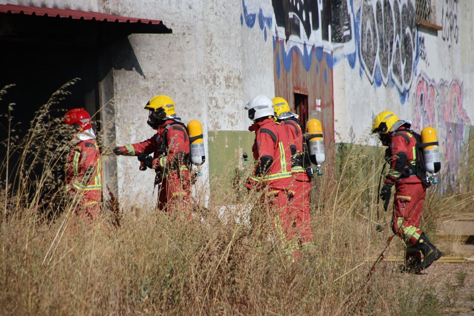 whatsapp-image-2024-08-22-at-18-17-48-1