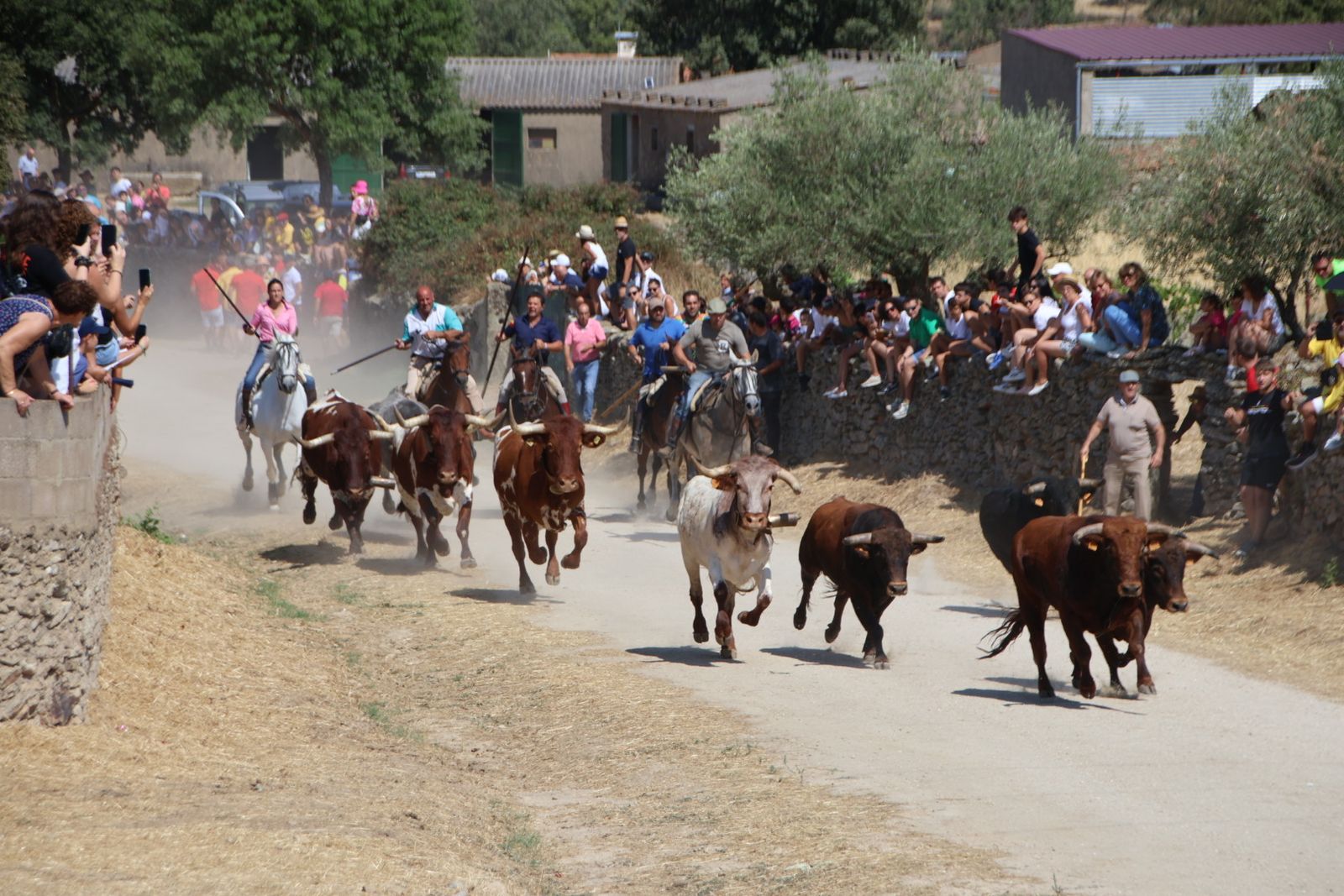Lumbrales encierro a caballo