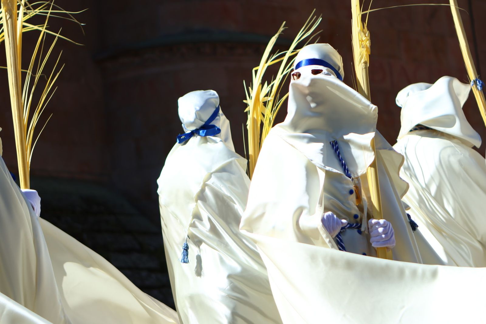Procesión de la Borriquilla en Salamanca