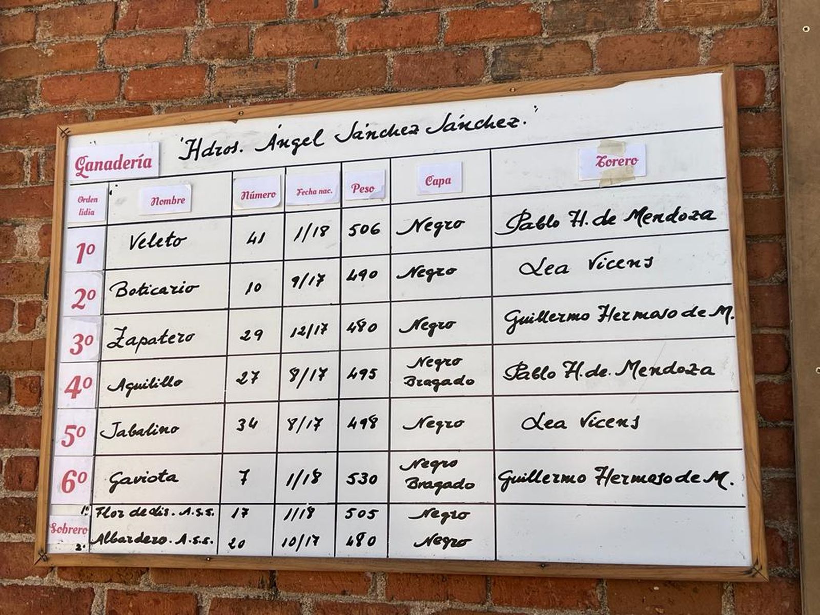 WhatsApp Image 2022 09 21 at 12.48.18 PM