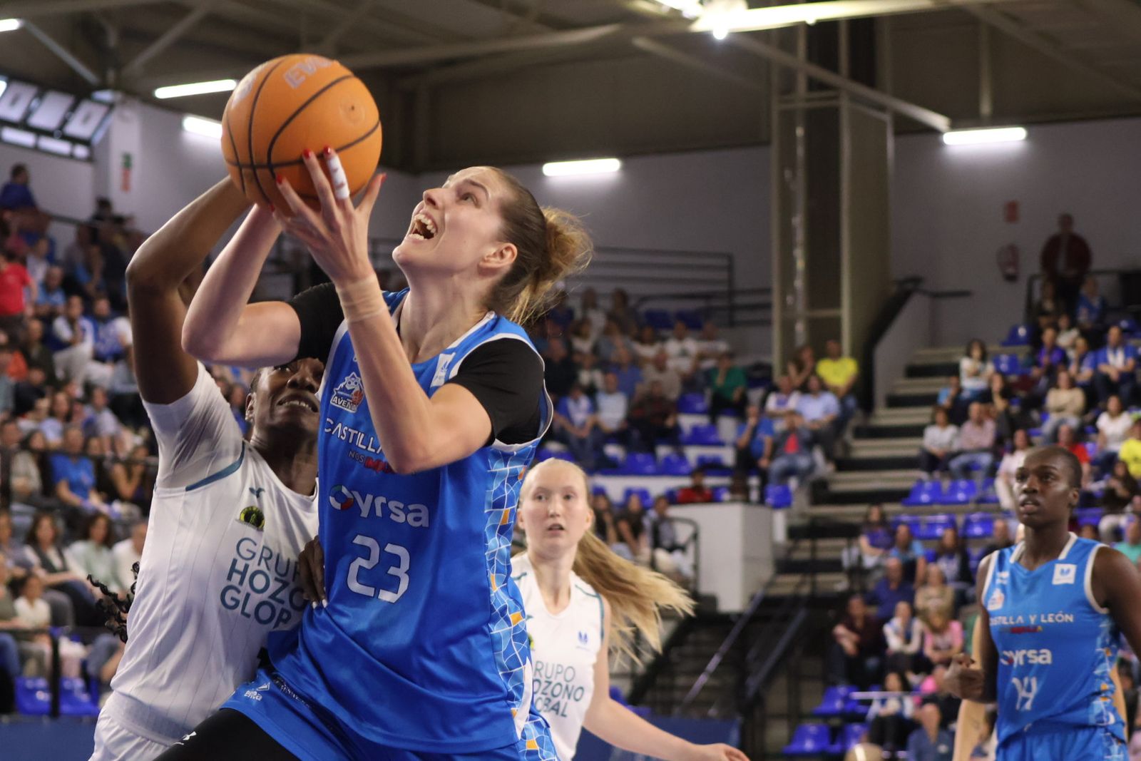 Perfumerías Avenida - CB Jairis