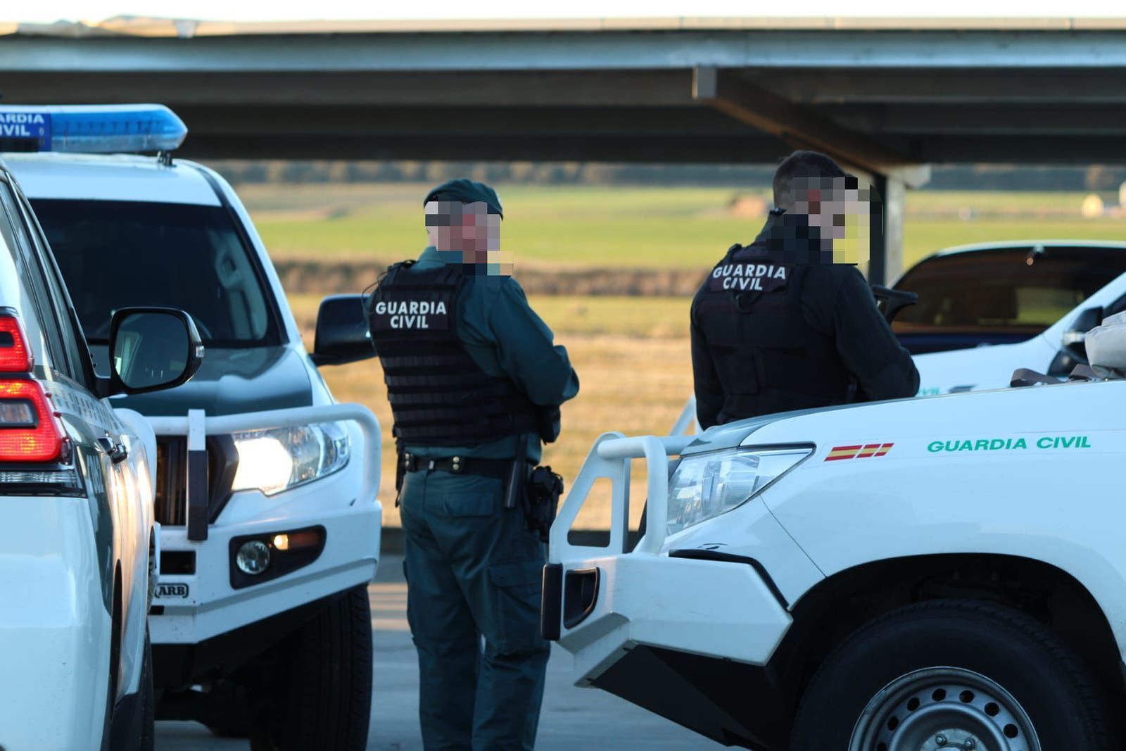 whatsapp-image-2024-12-20-at-18-20-18