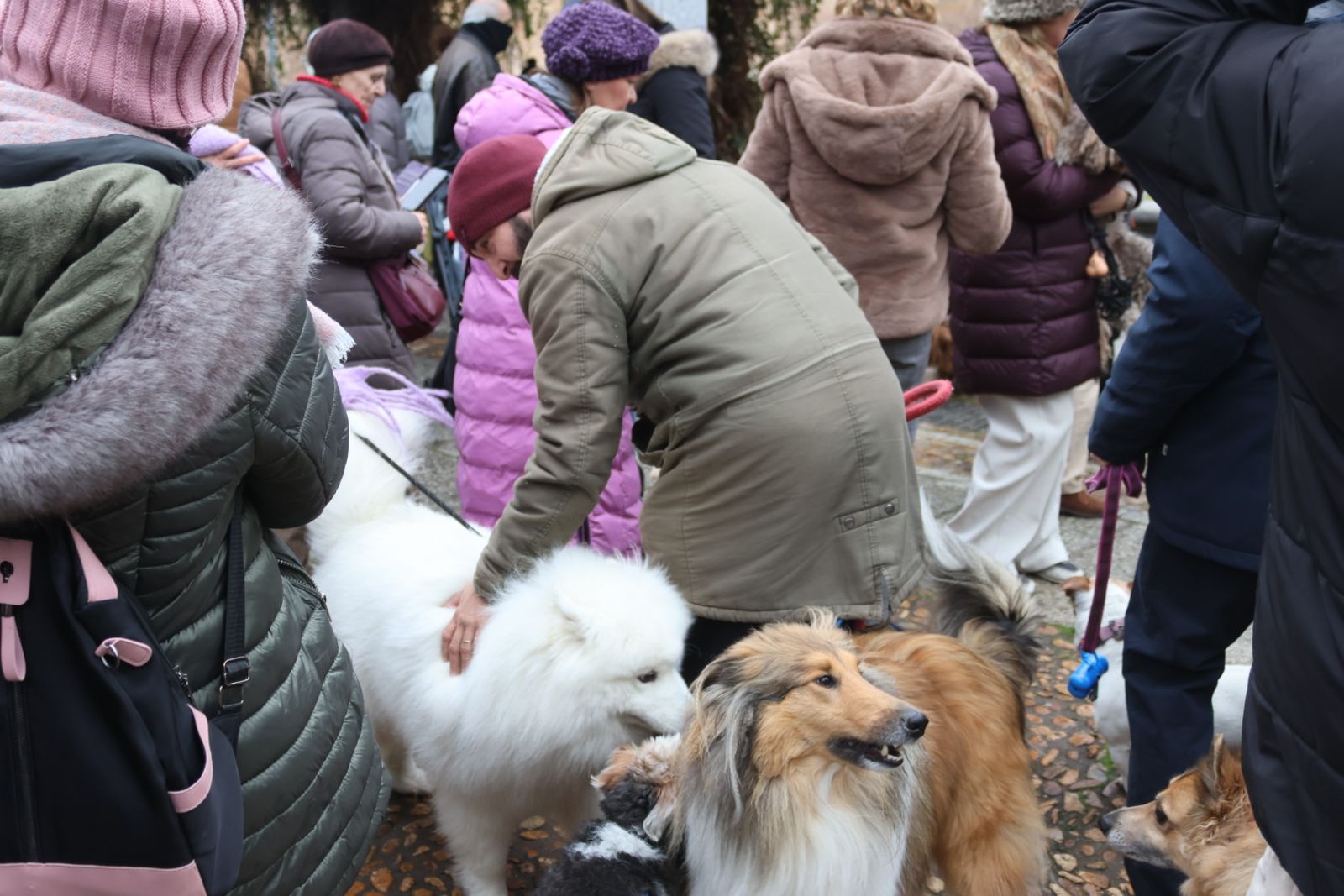 Bendición de los animales por San Antón en el Campo de San Francisco