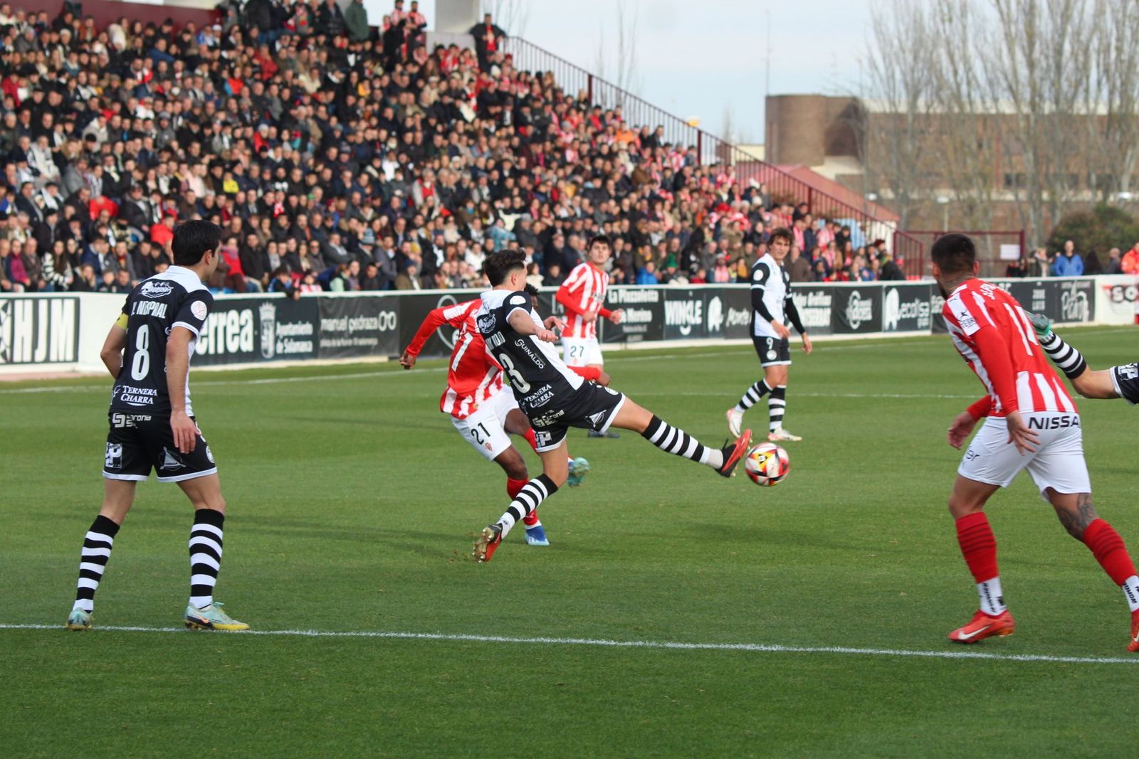 20231206180532-img-6850