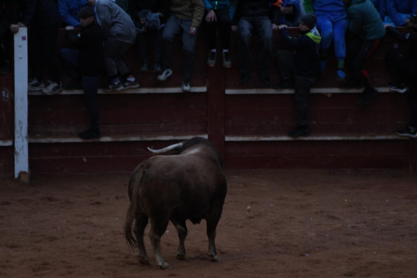 ambiente-y-capea-vespertina-sabado-de-carnaval-en-ciudad-rodrigo-2025-fotos-belen-hurtado-64