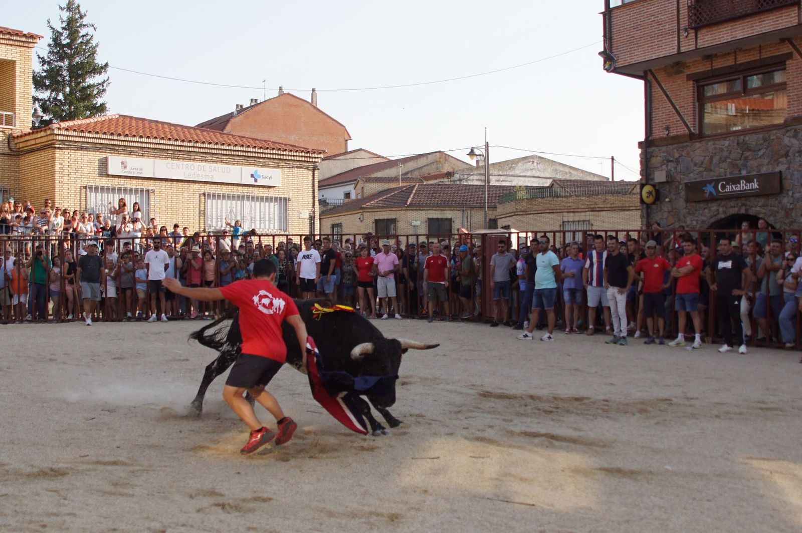 Pasión, tradición y calle: así se ha vivido en Ledesma el II Toro de Cajón