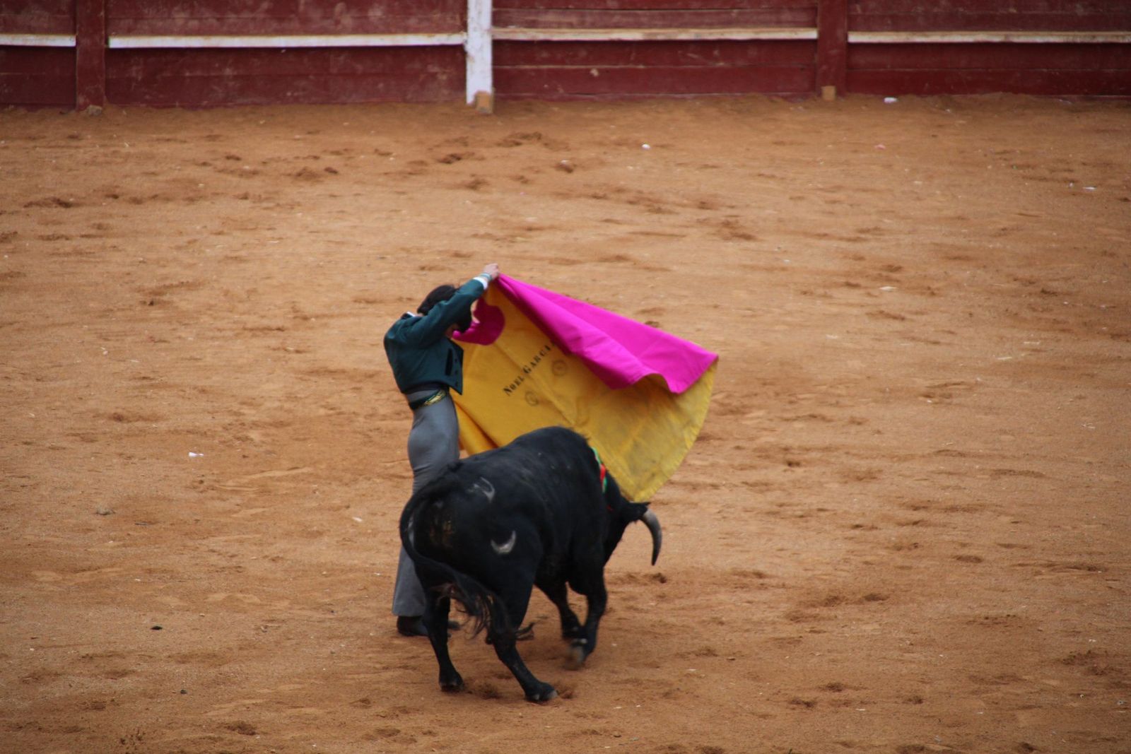 whatsapp-image-2025-03-02-at-18-54-07-1