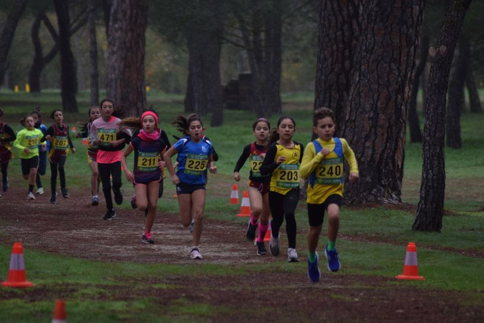 cross-de-otono-en-el-bosque-de-valorio-6
