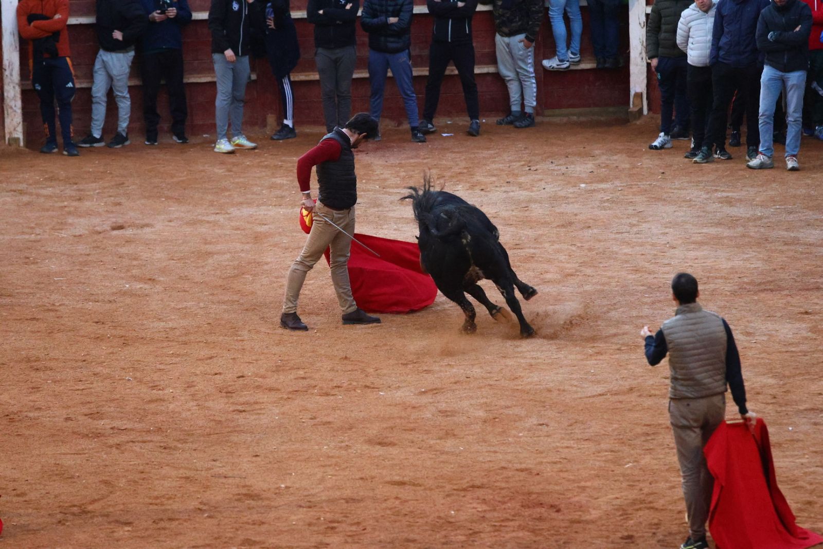 Capea de martes por la tarde en el Carnaval del Toro 2026