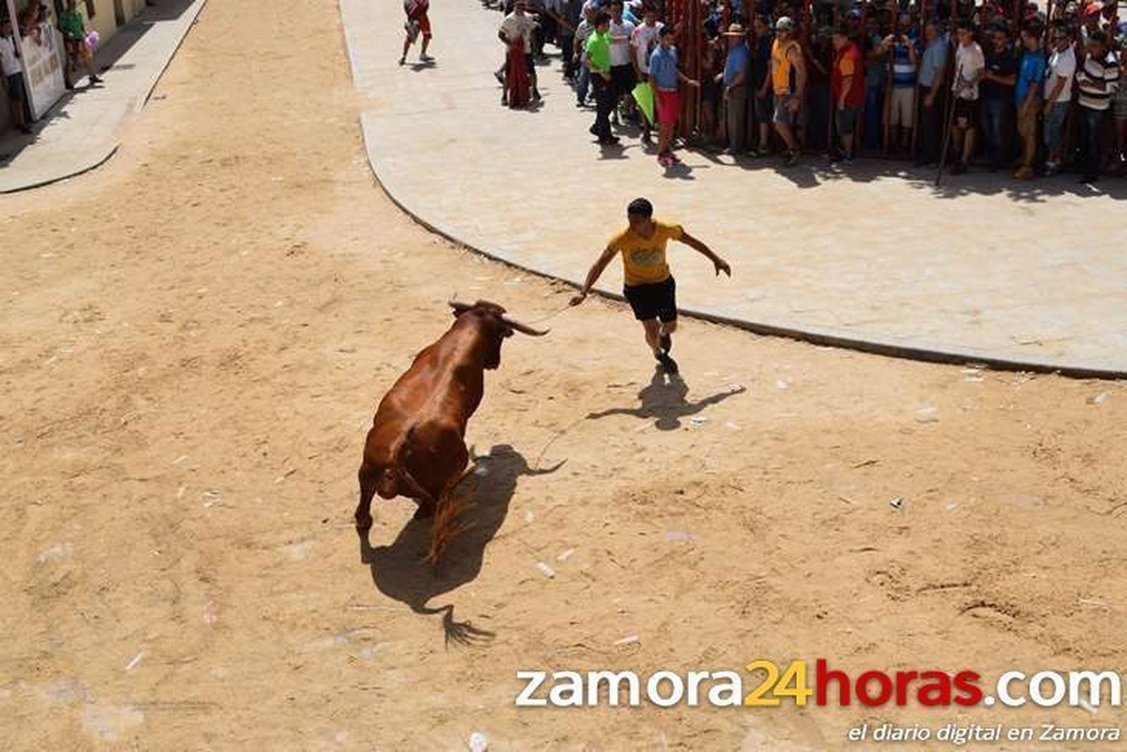 Herido grave en Fuentesaúco tras ser cogido por el toro mientras hacía fotos con el móvil