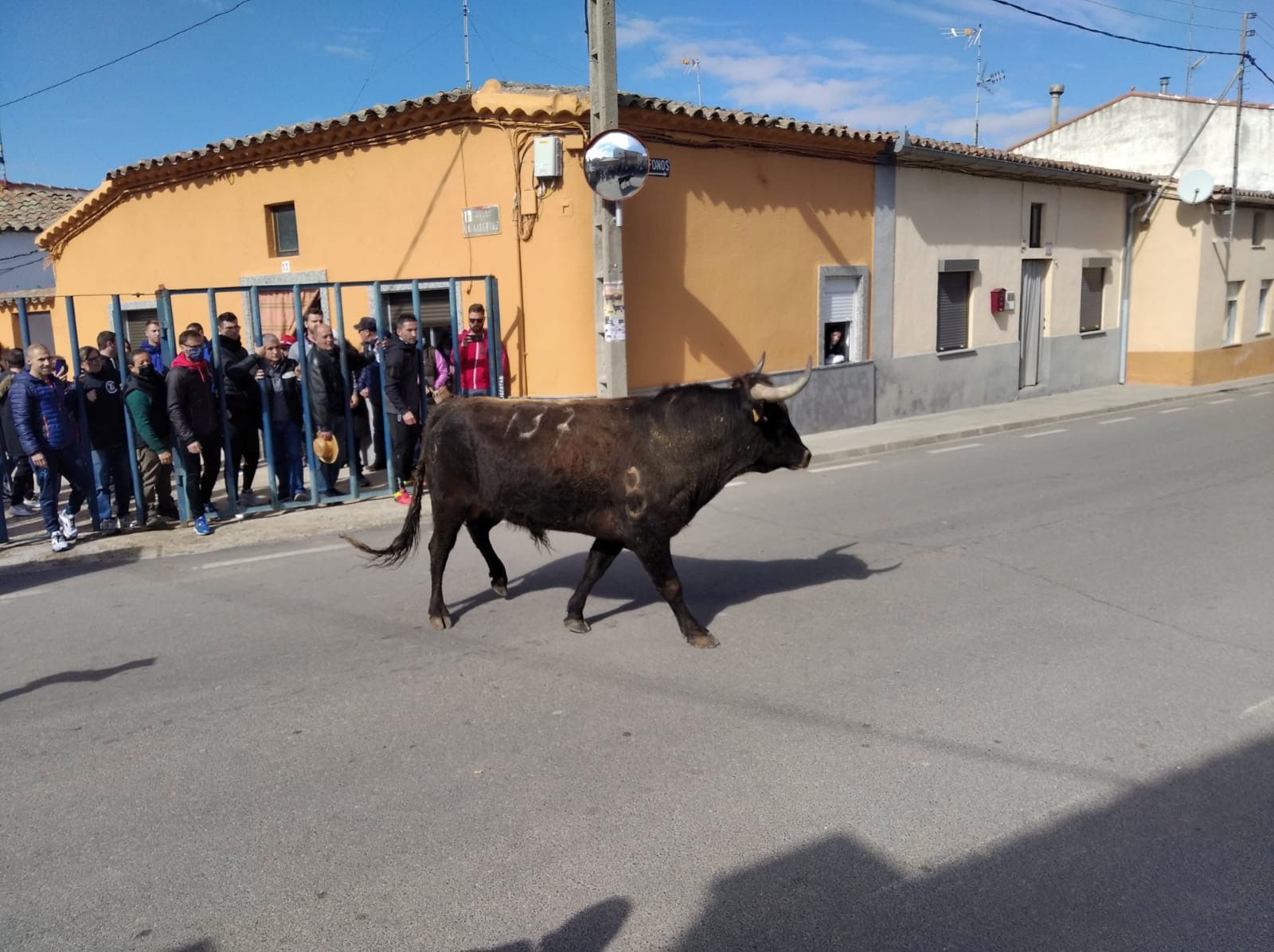 97bfd495-4431-483e-b527-851155c77288