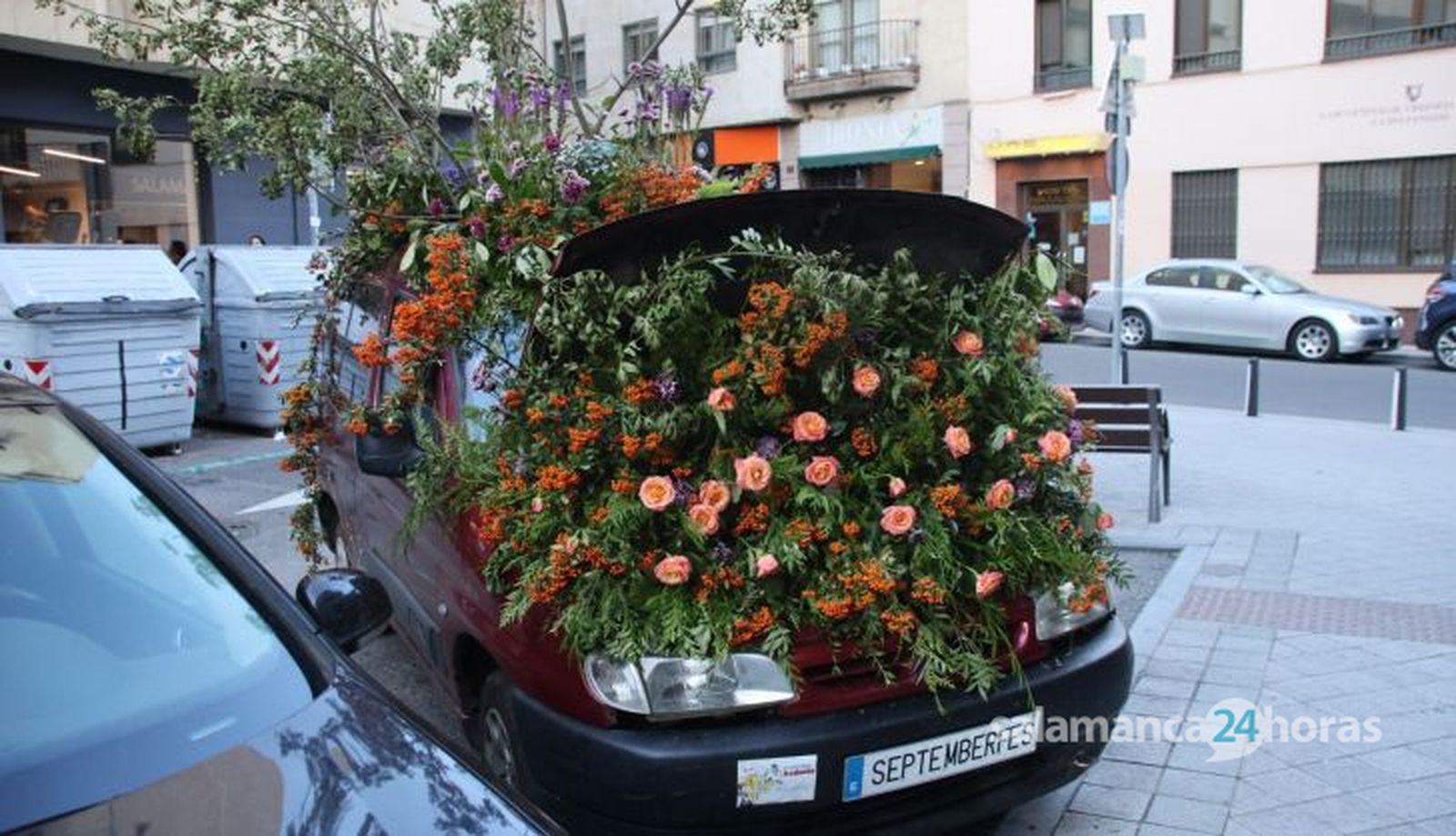 20230929181457 IMG 0435