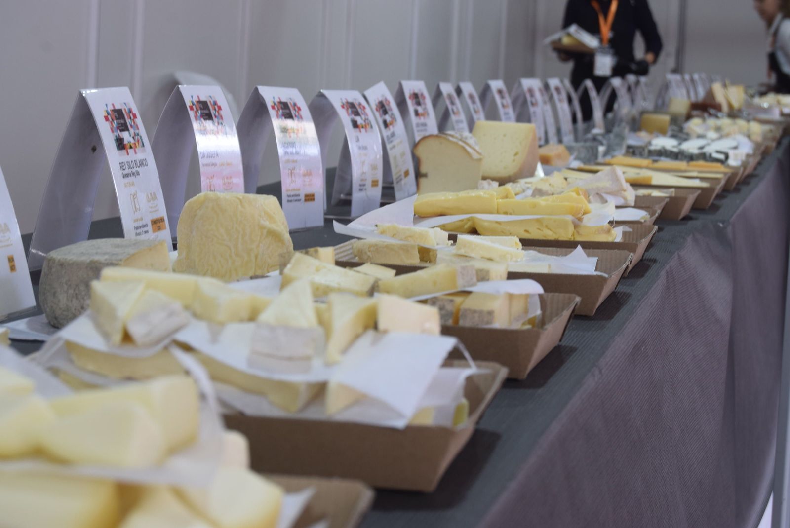 jornada-inaugural-de-fromago-82