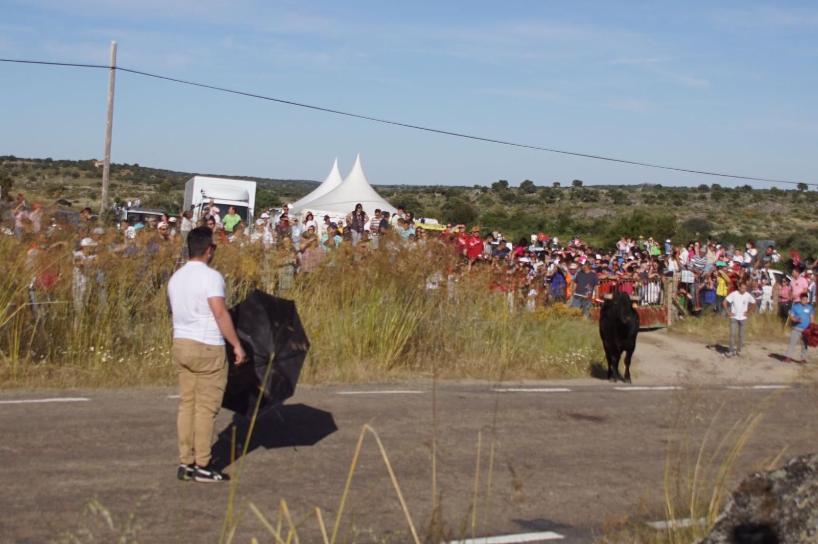 ledesma-calienta-motores-para-los-espantos-con-el-reparto-de-panuelos-y-la-salida-de-los-toros-del-prao-de-la-villa-4