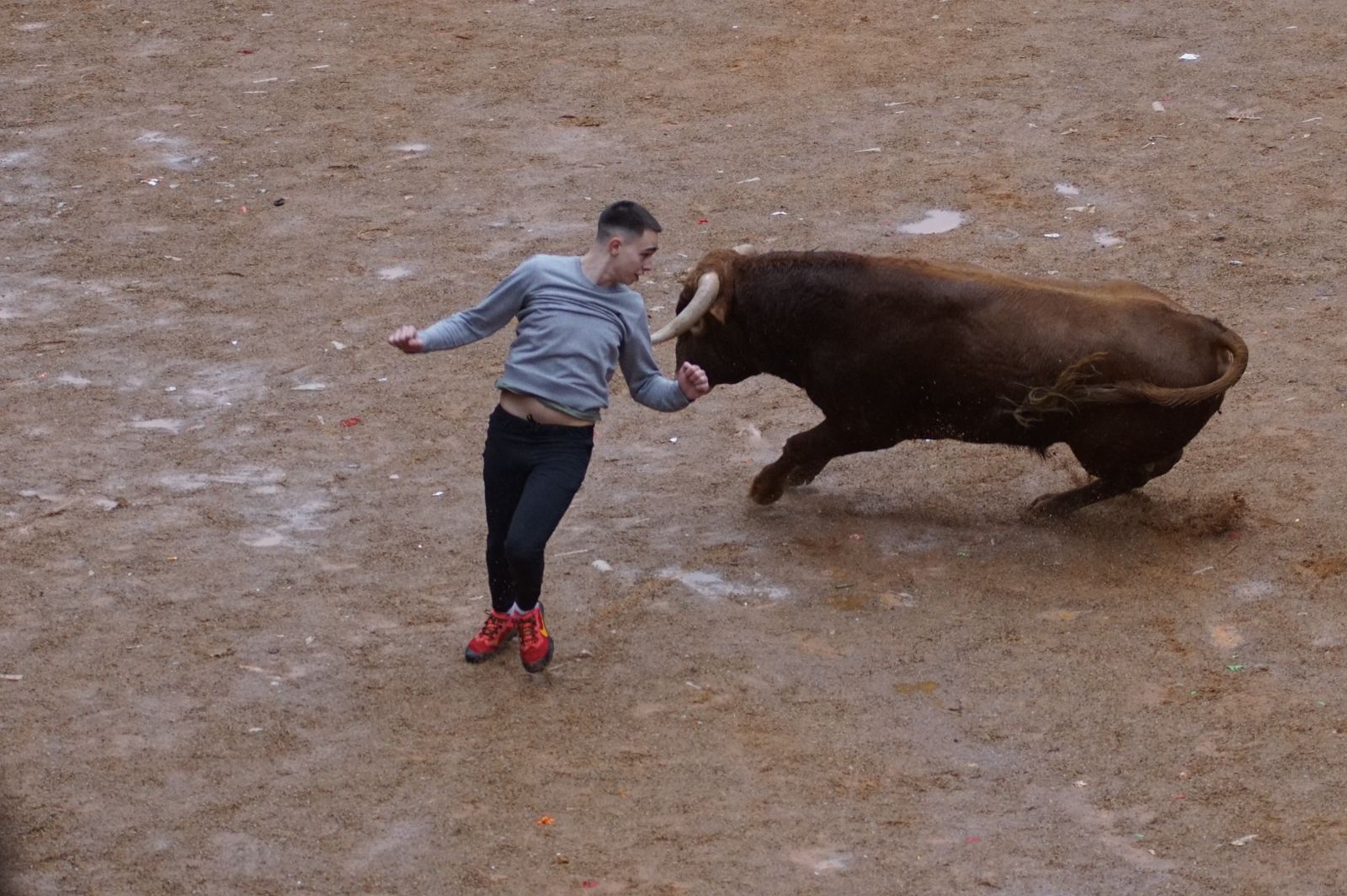 whatsapp-image-2024-02-11-at-14-02-48-1