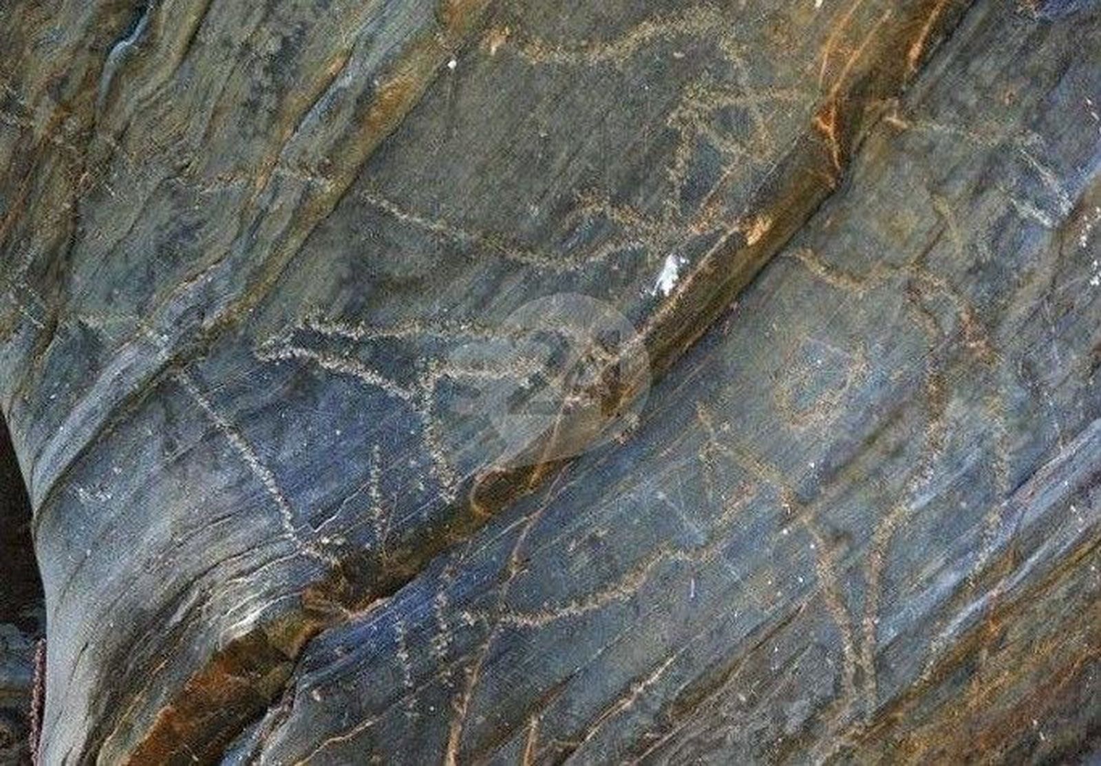 Las Cortes regionales pedirán mejoras en la señalización de Siega Verde a instancias del PSOE