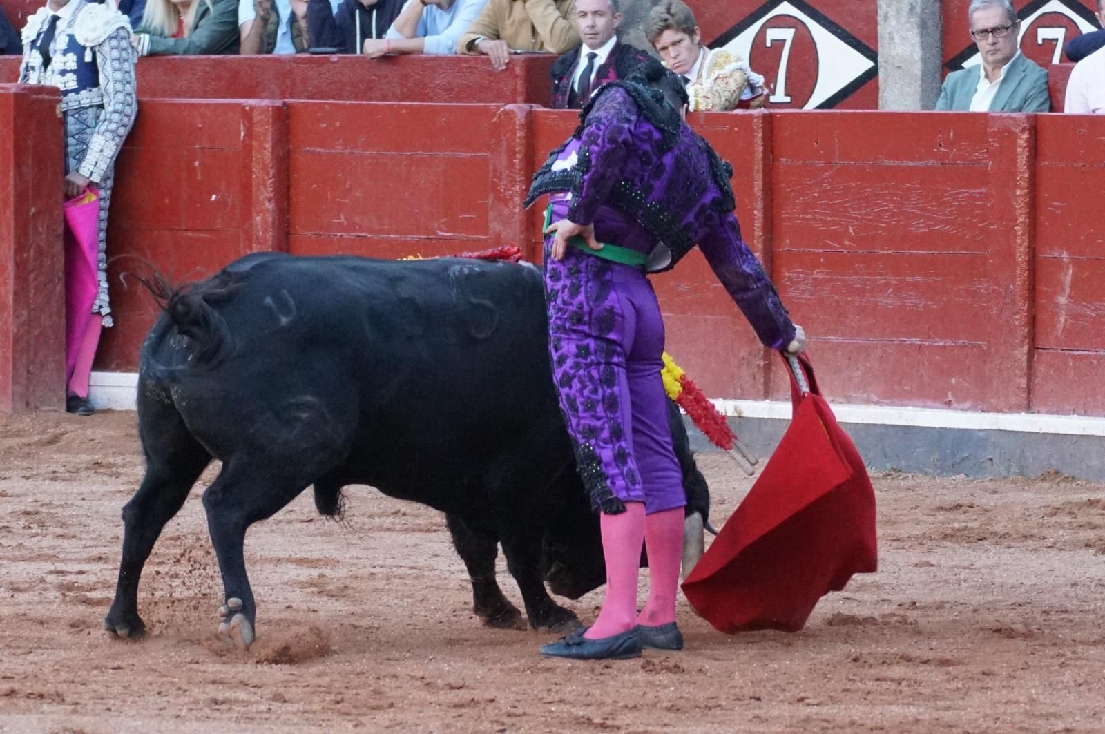 La corrida concurso para despedir la feria con Morante, Talavante y Borja Jiménez: imágenes de los mejores momentos en La Glorieta