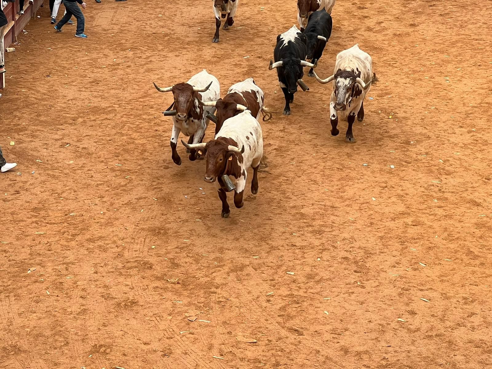 encierro-del-sabado-de-carnaval-en-ciudad-rodrigo-5