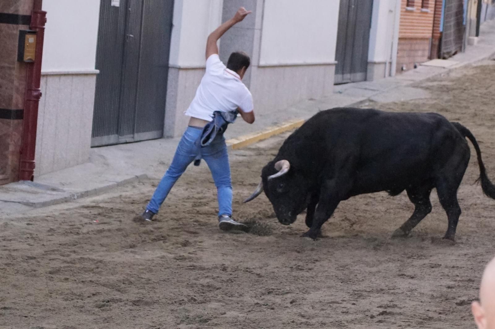 Toro del cajón y capea en Alba de Tormes