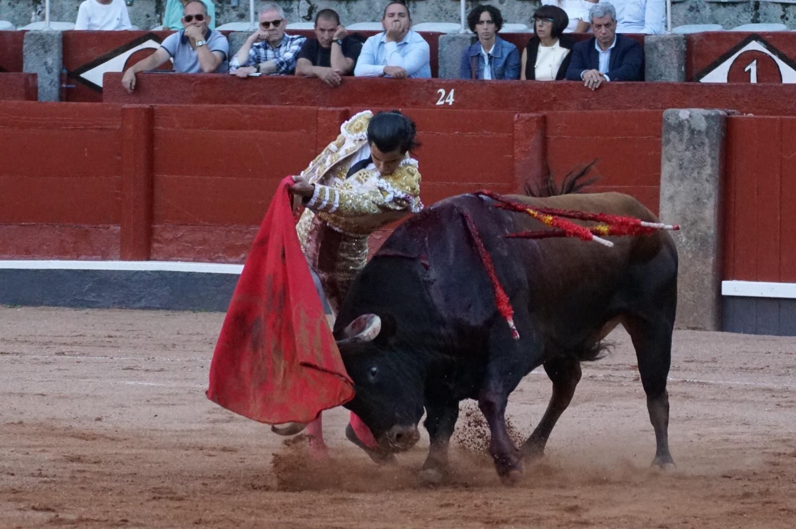 Presencia salmantina por partida doble en la primera corrida de la feria: Damián Castaño e Ismael Martín junto al mexicano Diego San Román