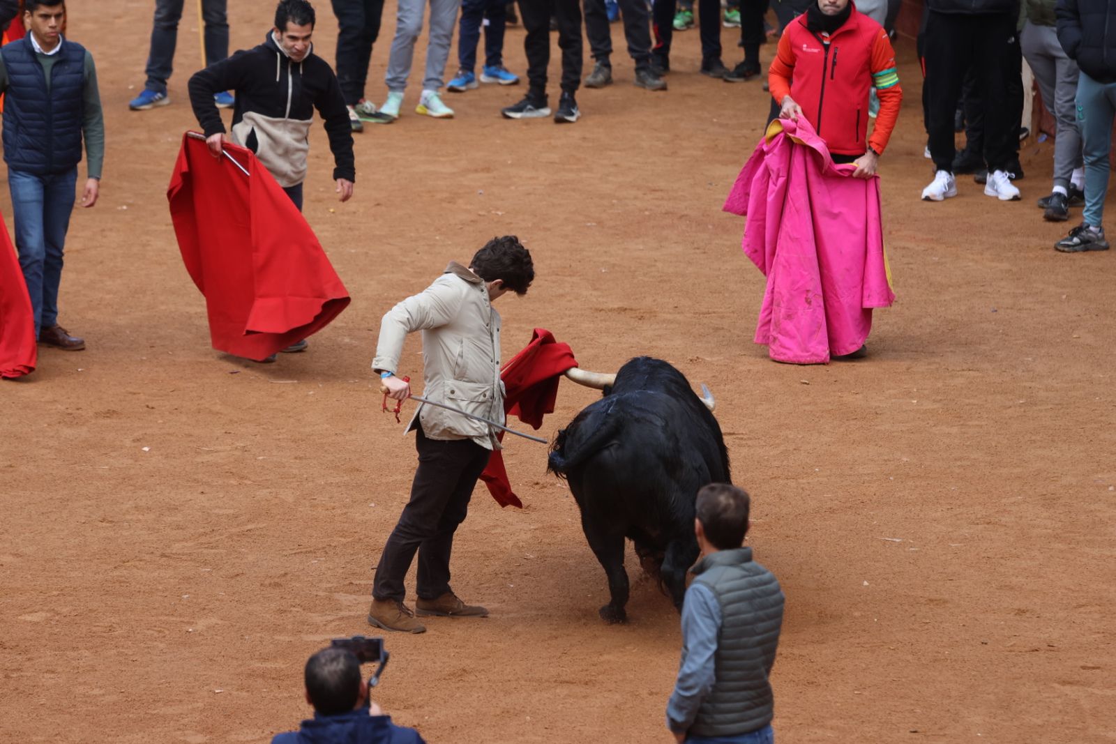 Capea de domingo en el Carnaval del Toro 2026 de Ciudad Rodrigo