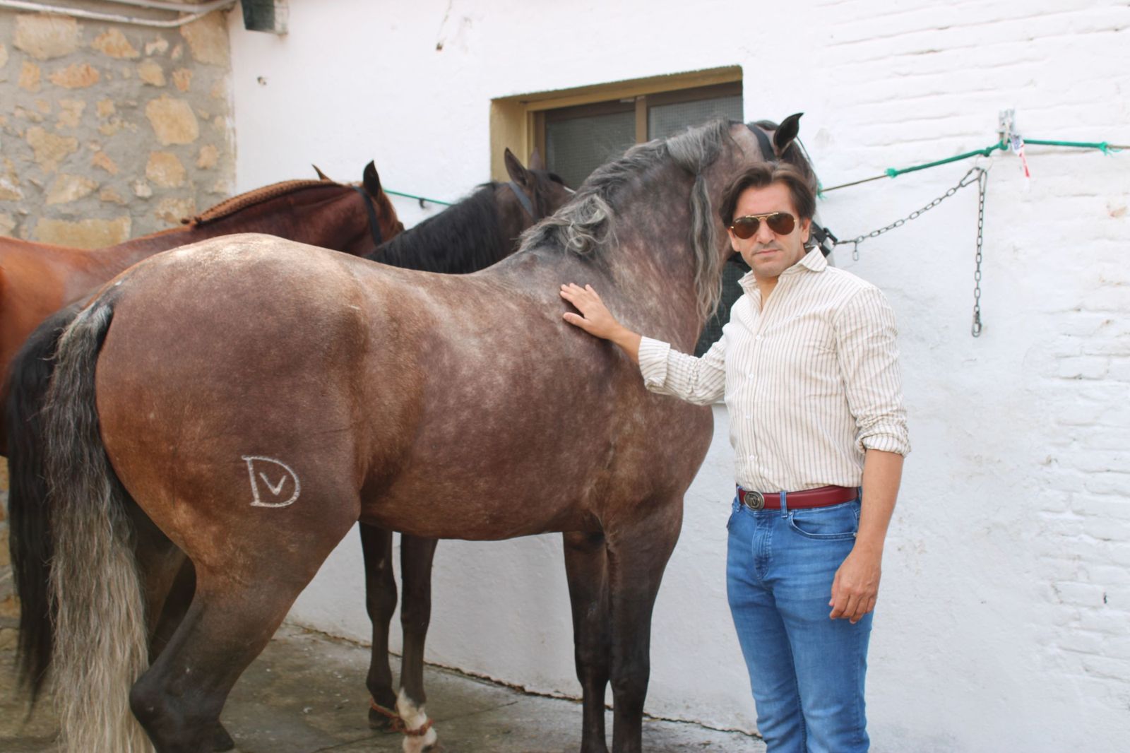 Un encierro de grata presentación de Sánchez y Sánchez para corrida de rejones de la feria