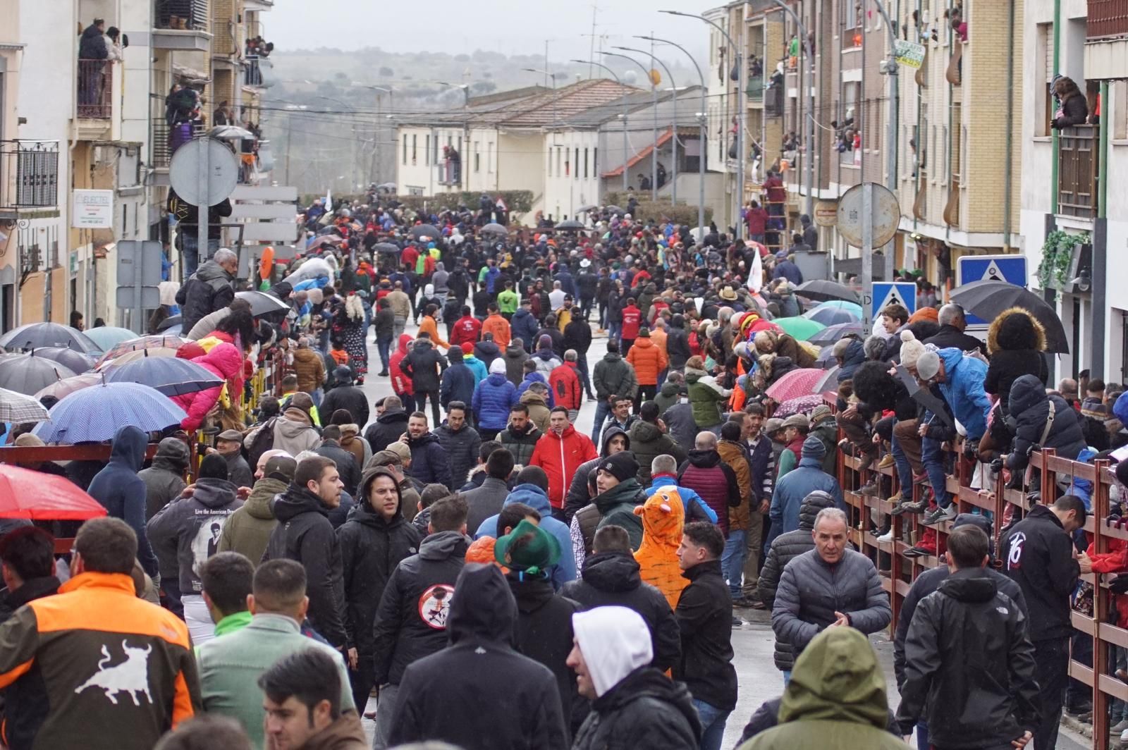 whatsapp-image-2024-02-11-at-11-49-04