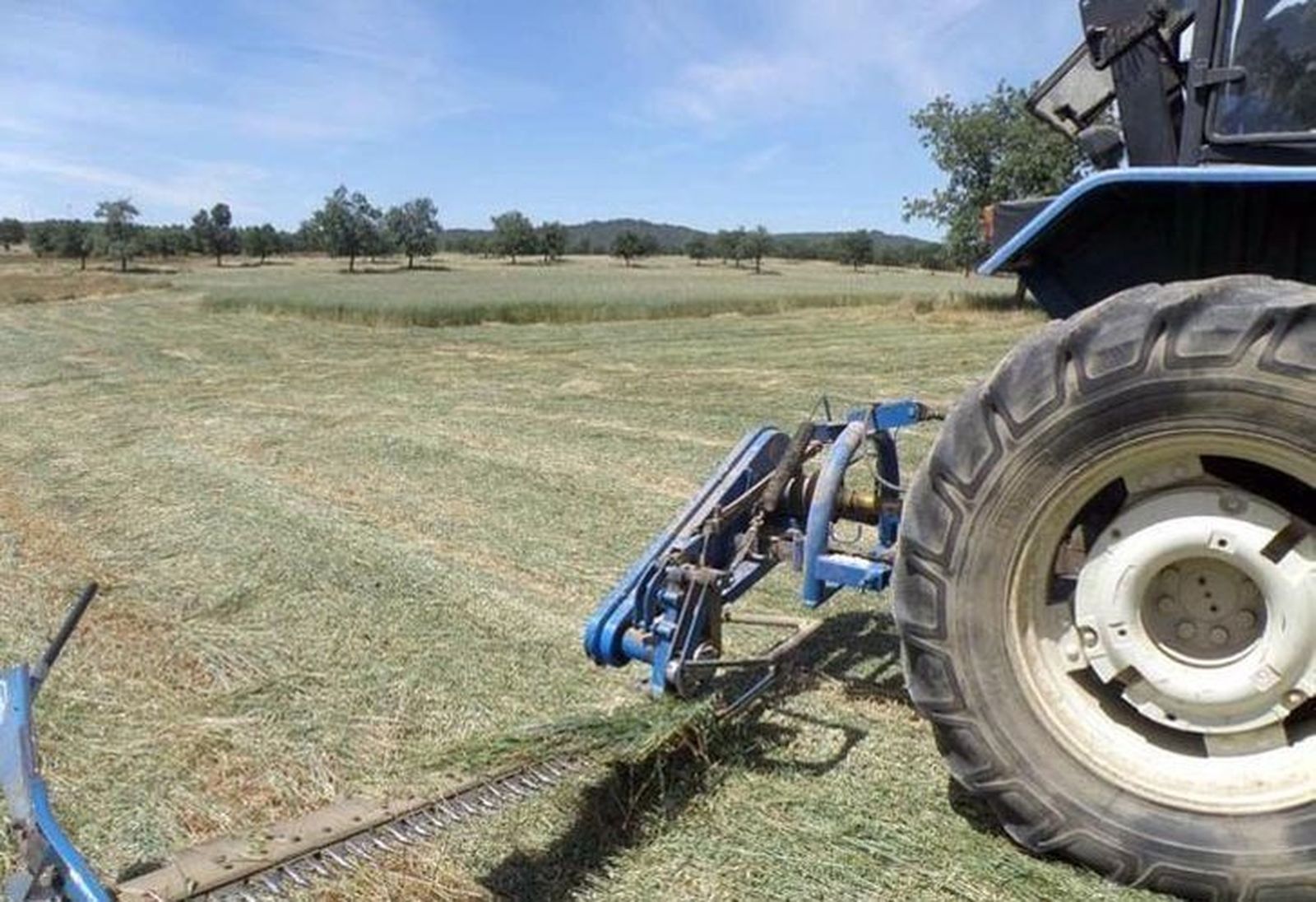 Aumenta la inscripción de tractores y máquinas en 2014