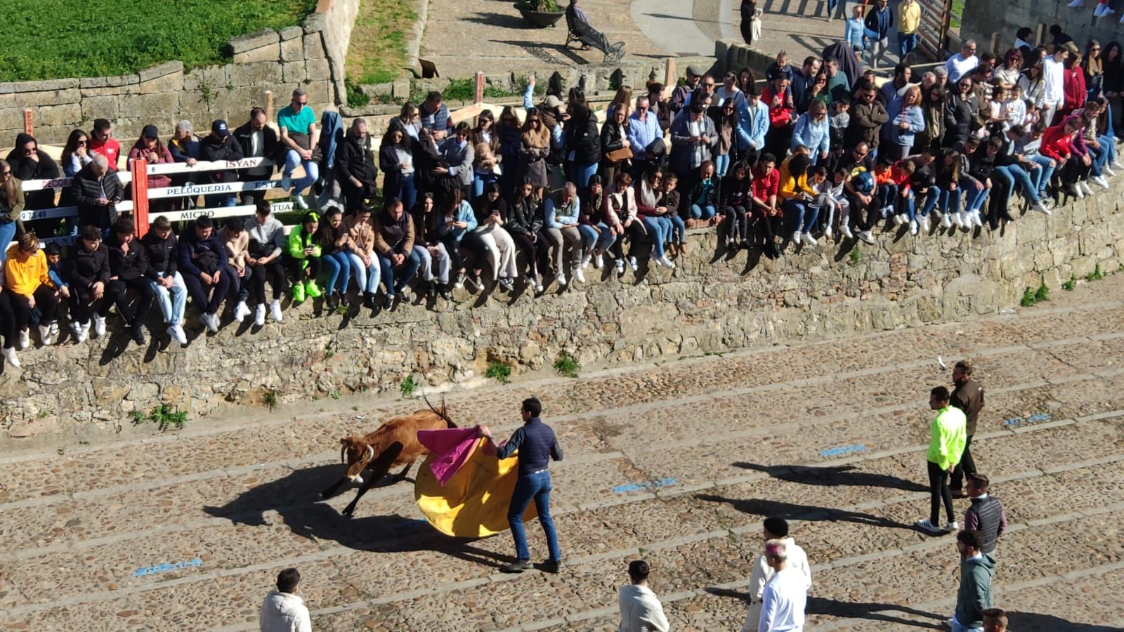 ambiente-con-la-suelta-de-vaquillas-en-el-domingo-de-pinata-en-ciudad-rodrigo-16
