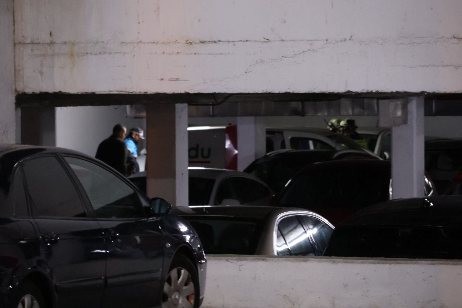 Rescate del ciervo en el Parking de San Martín (17).JPG