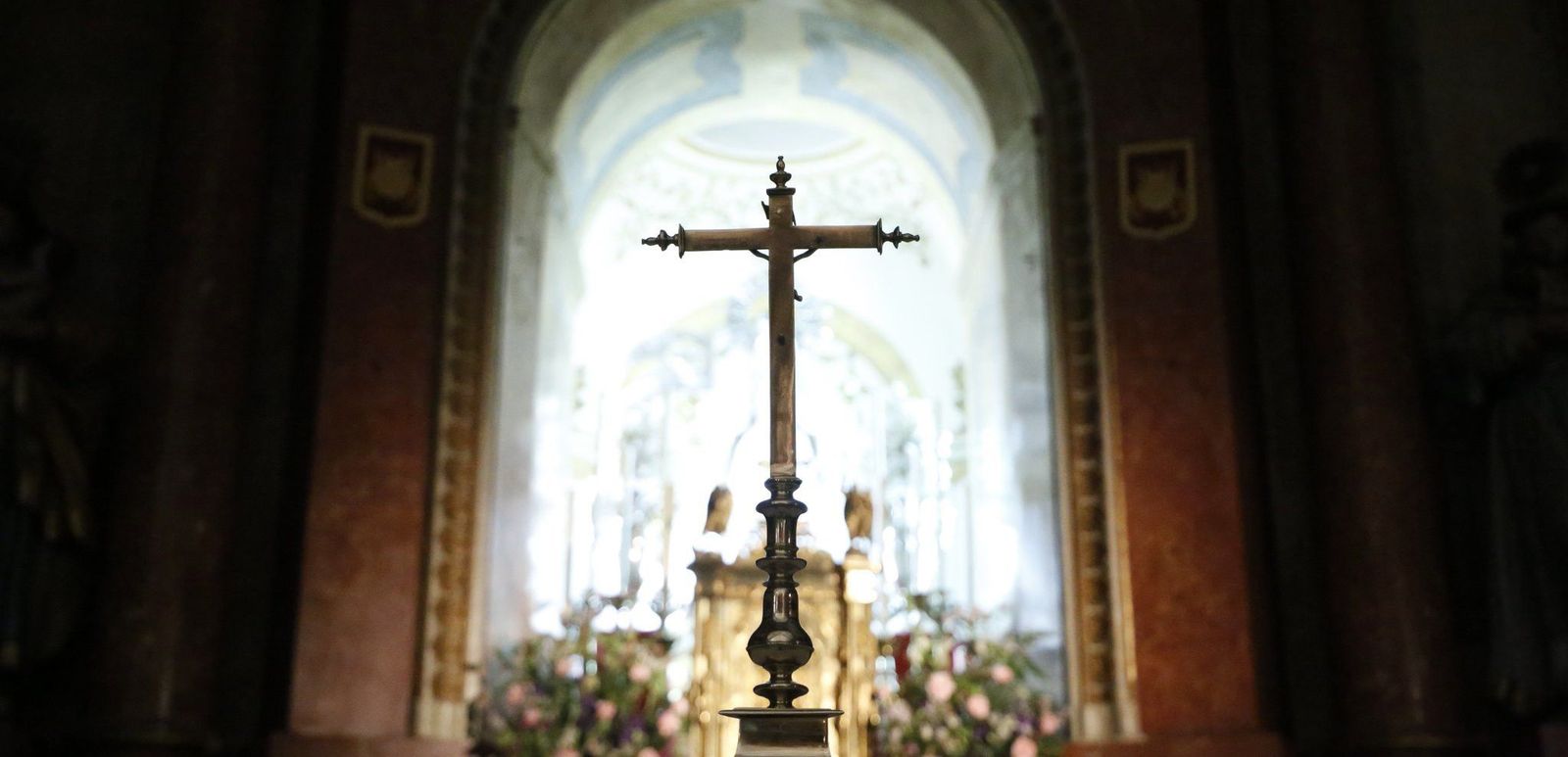 Principales causas de muerte por grupos de enfermedades en Zamora