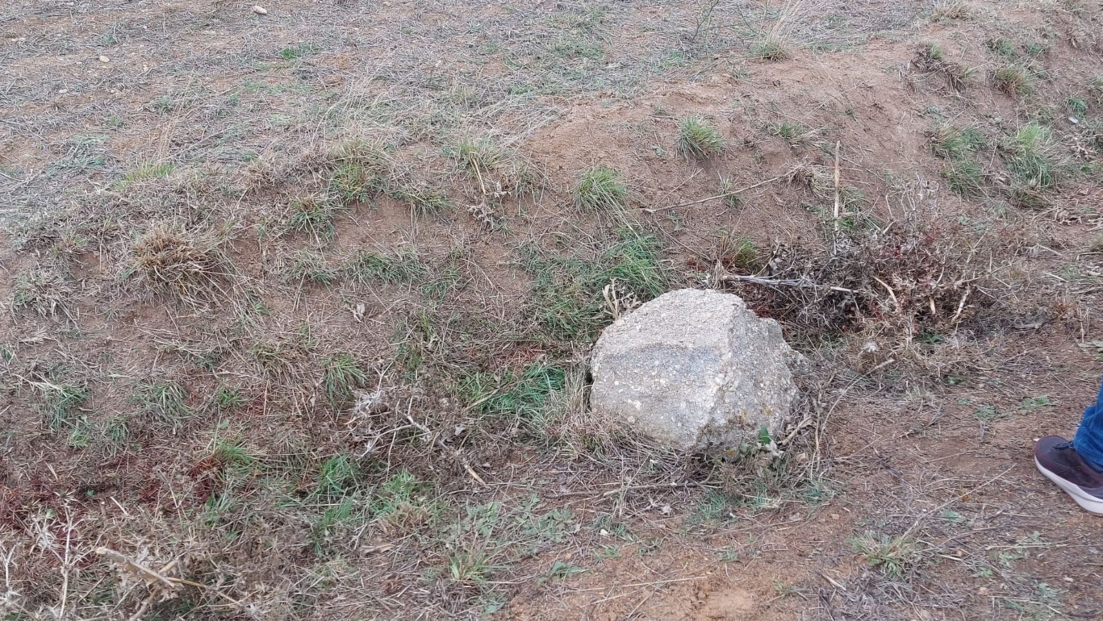 whatsapp-image-2023-10-24-at-13-28-46-1