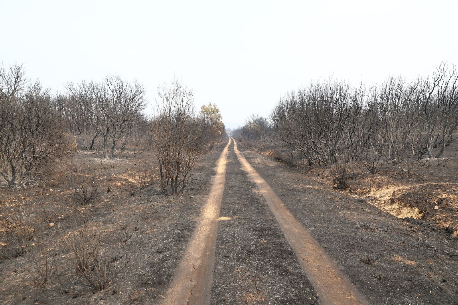 GALERÍA | Así ha sido la visita de Pedro Sánchez a Molezuelas de la Carballeda