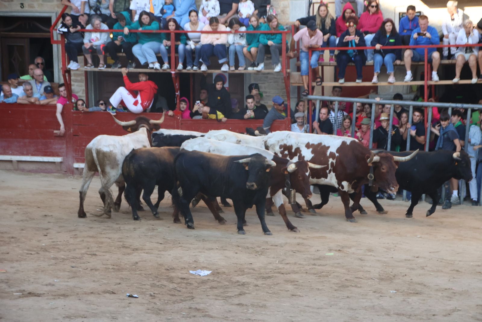 Encierro en Aldeadávila