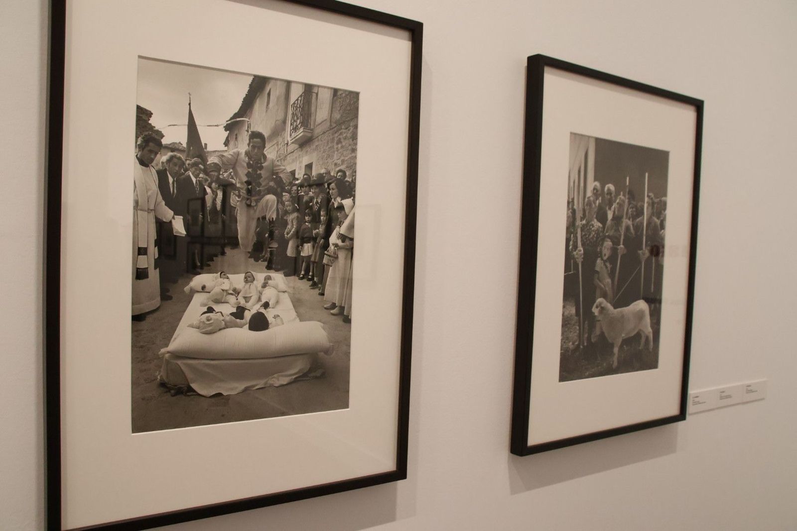 20230921100238-img-7235