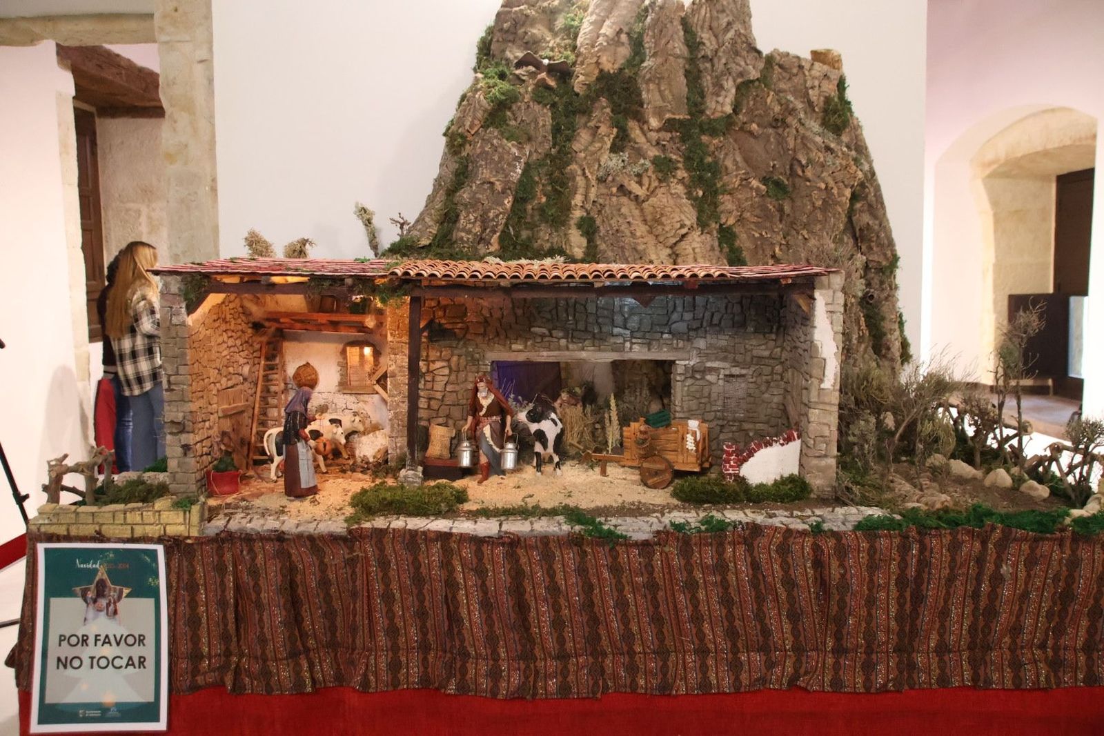 20231201133826-img-5022