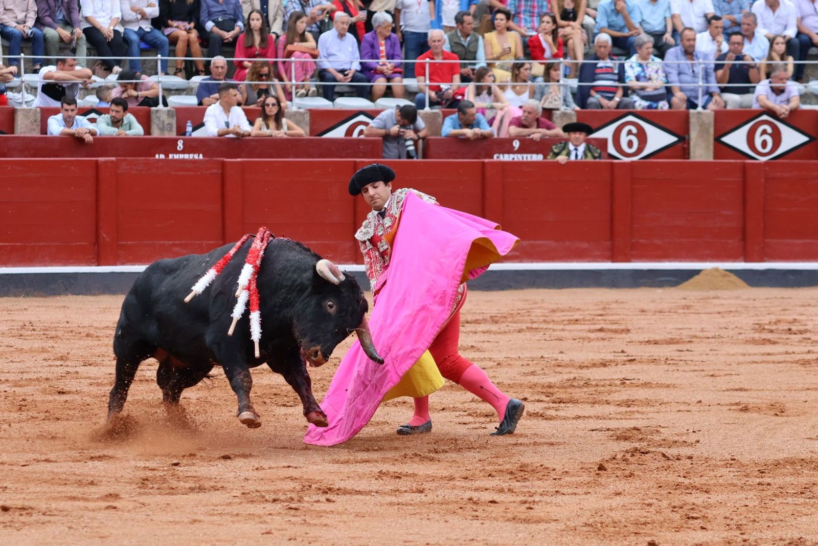 20230909172400-img-0453